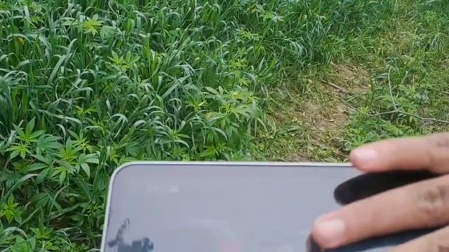 iPad mini 6 смотреть онлайн