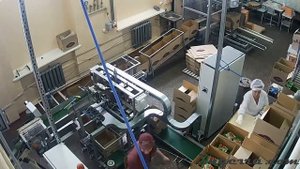 Автоматизированная система упаковки готовой продукции. Case packer. Secondary packaging line