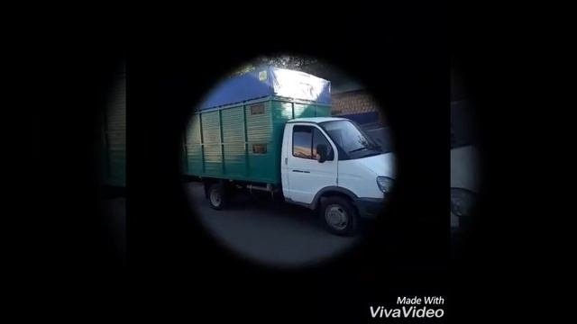 Газель оснащена двухъярусным кузовом для перевозки овец.