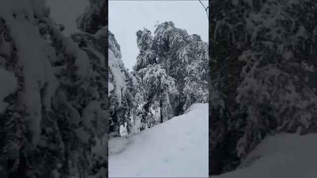 Турцию завалило снегом