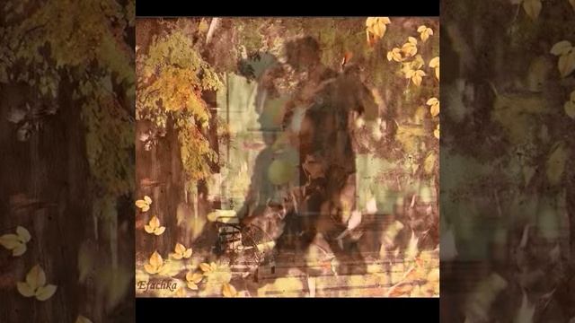 Осень крадётся печалью своей..., Вероника Фабиан, муз. и исп. С.Фрумович смотреть онлайн