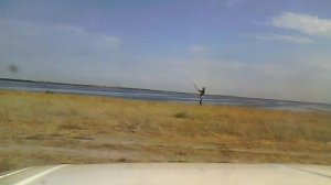 Самостоятельный запуск и посадка кайта