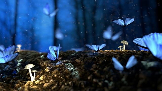 TOP 15  8K wallpapers for desktop!