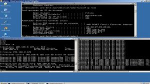 ARP Cache Poisoning utilizando Netwox 33