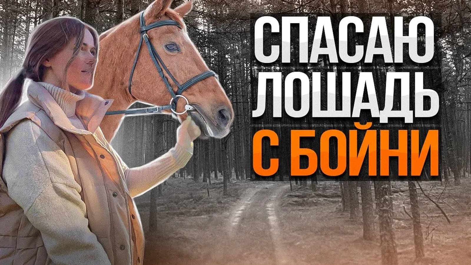 СПАСАЮ БЕРЕМЕННУЮ ЛОШАДЬ С БОЙНИ | Строительство новой большой фермы