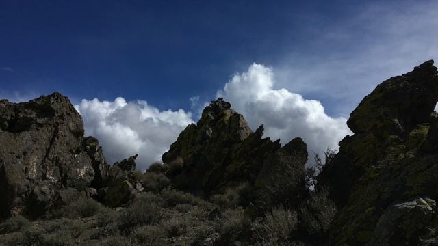 GRAVEFLOWER - GOODBYE BUD (2020 DEMO) смотреть онлайн