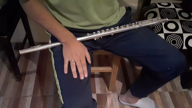 Notas sobre postura en la flauta traversa смотреть онлайн