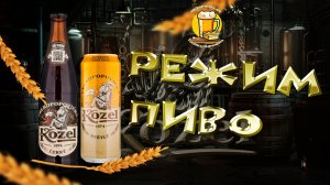 Пашок-пирожок: Обзор пива Velkopopovický Kozel 🍺