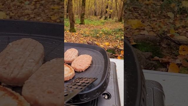 Котлеты на походном гриле. Бутовский лес. Октябрь 2024г.mp4