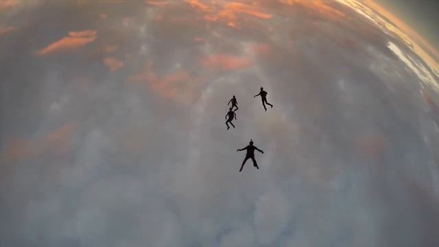 флок