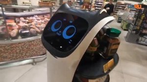 Роботы-коты, которые помогают покупателям, появились в магазинах Москвы