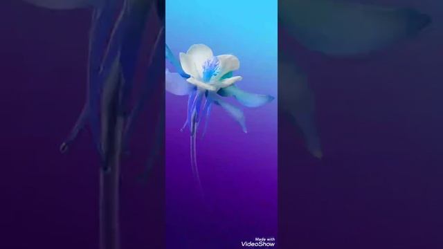 Vivo Z6 Stock wallpapers смотреть онлайн