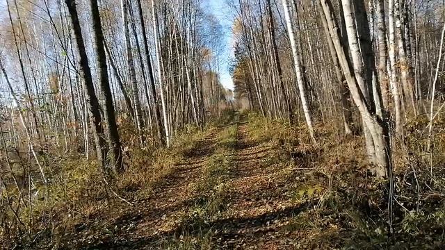 Наша дорога смотреть онлайн