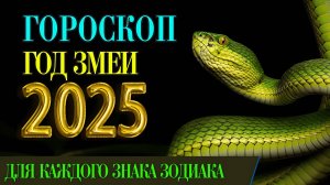 ТАРО #Аврора #гадание Тельцы на 2025 год