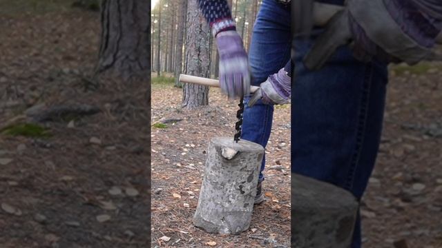 Финская свеча, как сделать  #forest  #bushcraft #survival