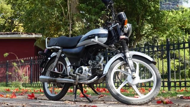 Cruise Control Wali Bike | Tesla Lite | Owner's Review | PakWheels Bikes смотреть онлайн