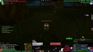 Turtle WoW - HARDCORE 4aЯacters ЛeveлiИg/GeariИg (Ru/Eng Chat friendly) Relax Stream