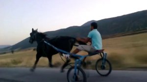 asenovgrad boris vacip