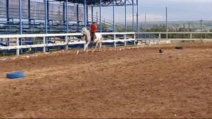 Суровикинская вертушка