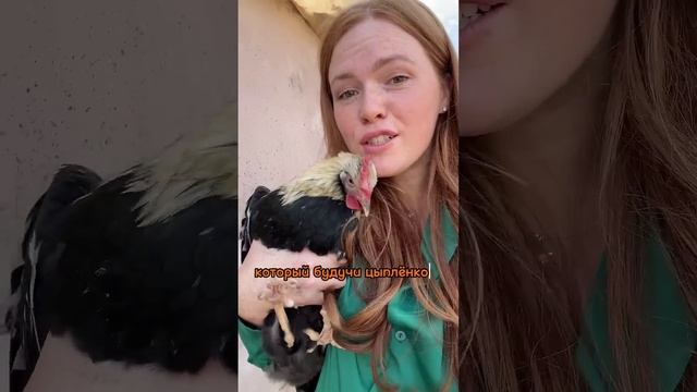 ЧТО СТАЛО С ГЕРОЯМИ КАНАЛА РЫЖИЙ ФЕРМЕР? Суровая судьба фермера