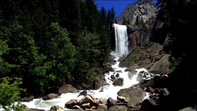 Windows Vista DreamScene [vid8896.mpg] смотреть онлайн