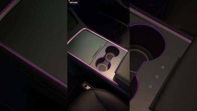 Black interior ➕ Tesla Model Y Car Interior Ambient Lights