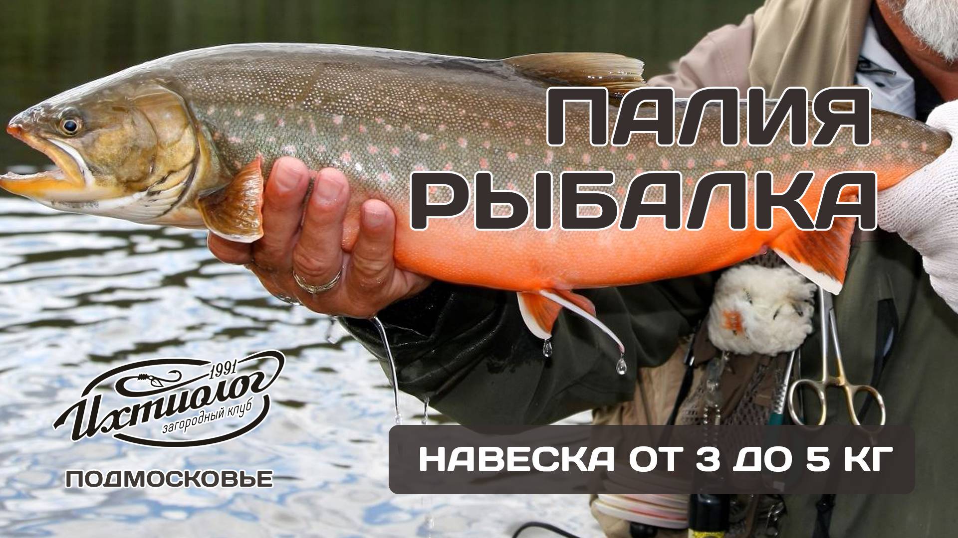 Запустили редкую эксклюзивную рыбу! Рыбалка в Подмосковье Загородный клуб Ихтиолог
