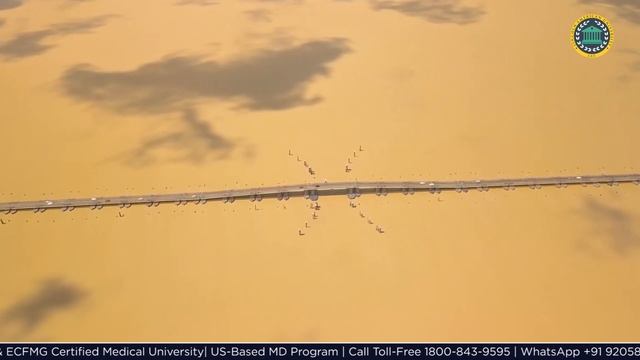 Explore Guyana | English-Speaking Country in South America | Lincoln American University смотреть онлайн