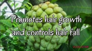 Benefits of custard apple for skin and hair