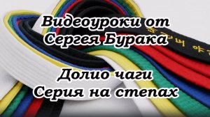 Видеоуроки от Сергея Бурака. Долио чаги. Серия на степах.