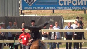 Плечевая стойка вниз головой