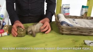 Кролики - система пищеварения у кроликов