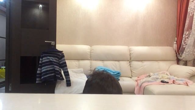 Как сделать дом для кошки смотреть онлайн