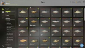 ЗАКРЫЛ ЯЗЯ НА КОМАРЕ! ВСЕ ТОНКОСТИ ДЛЯ ПОИМКИ ТРОФЕЯ НА ВОДОЕМЕ В РУССКОЙ РЫБАЛКЕ 4 РР4