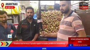 Traders out to buy C grade apple to make profits in Anantnag