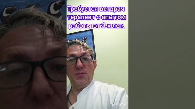 Ветеринарные вакансии Москва. Выпуск 1. смотреть онлайн