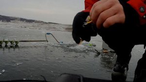 Окунь на БАЛАНСИР | Зимняя рыбалка| Ловля на балансир Лаки-Джон