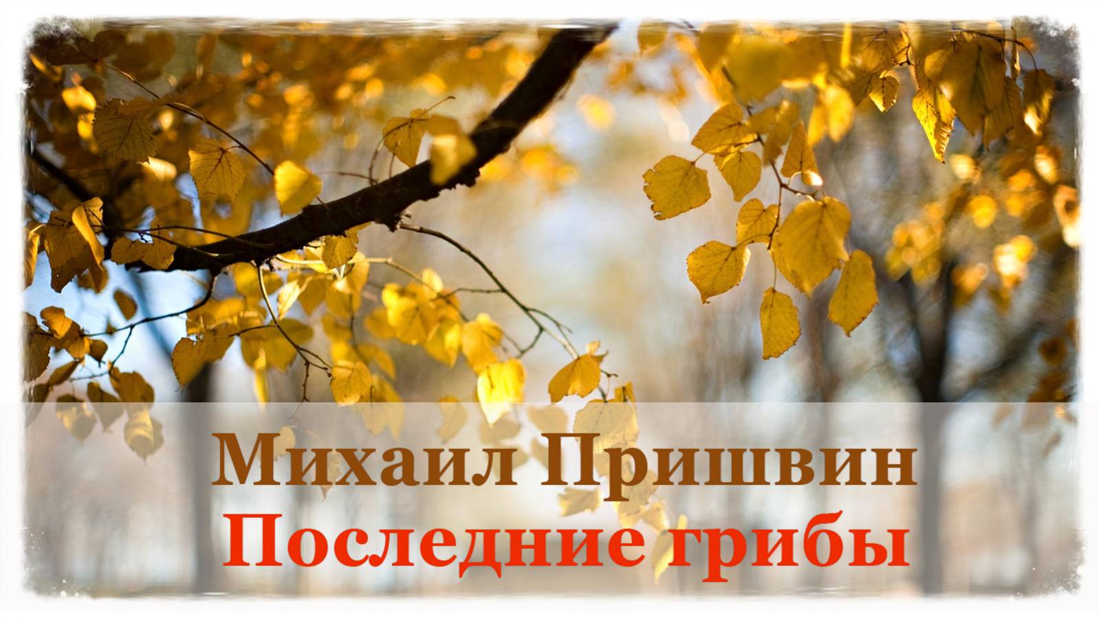 🍂 Михаил Пришвин. Последние грибы