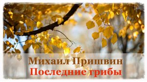 🍂 Михаил Пришвин. Последние грибы | Рассказы для детей