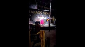 Лебеди [бутлег c Квартирника у Гарри на В.О. в Питере] - О. Нежинская feat. LEKA