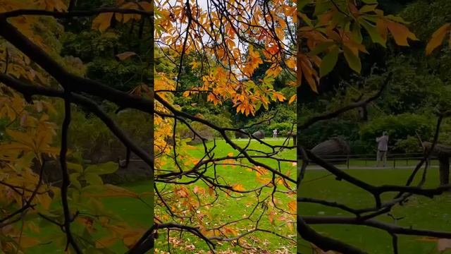 😍В «Аптекарском огороде» сейчас очень крутая атмосфера, там можно насладиться красивой осенью😍