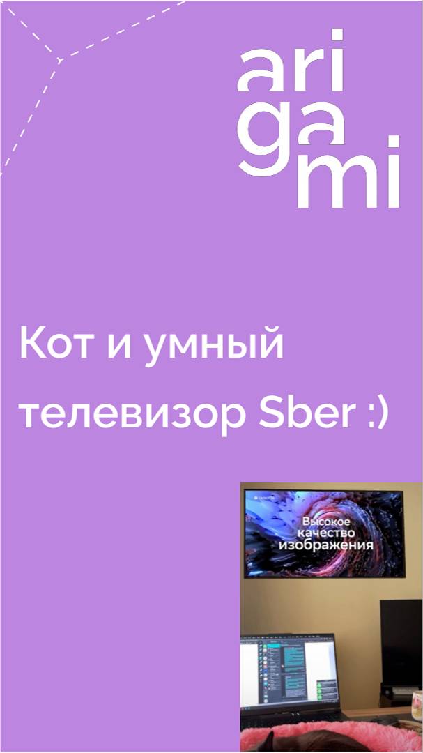 Кот и умный телевизор Sber :)