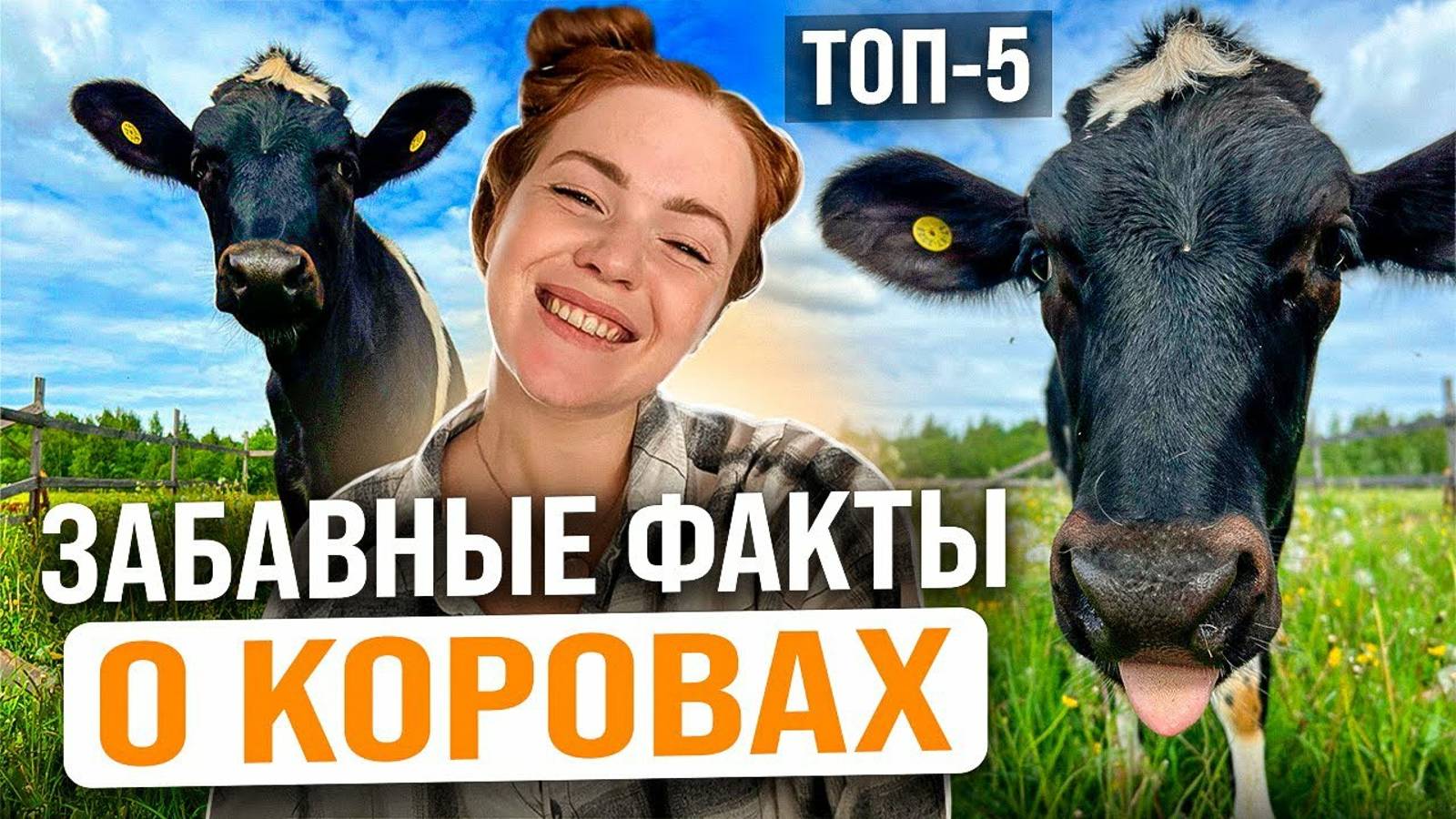 А ВЫ ЗНАЛИ ЭТО ПРО КОРОВ | Интересные факты о животных с рыжим фермером