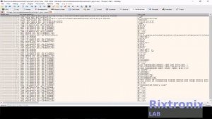How to reverse engineer x64dbg delphi