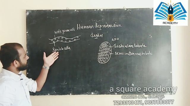 +2 ZOOLOGY ## Chapter -1 ## Human Reproduction ## Part-1