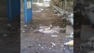 Город Счастье