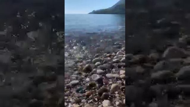 Лови момент # nature