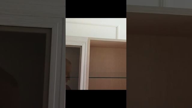 Амортизатор ( демпфер ) для плавного закрывания двери шкафа
