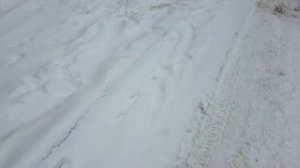 Прогулка по домофонам 14. Куча элтисов, на одном автосбор.