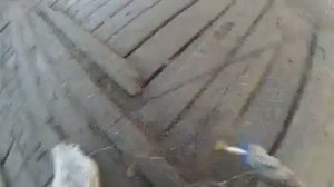 рыбалка на подъёмник